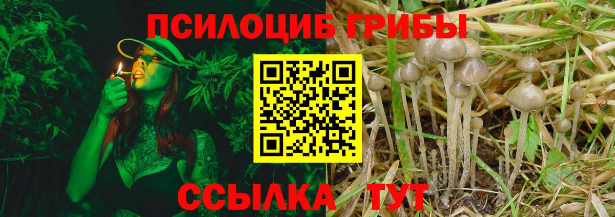 Псилоцибиновые грибы мухоморы  Вход с VPN  Кудымкар  Галлюциногенные грибы Cubensis 