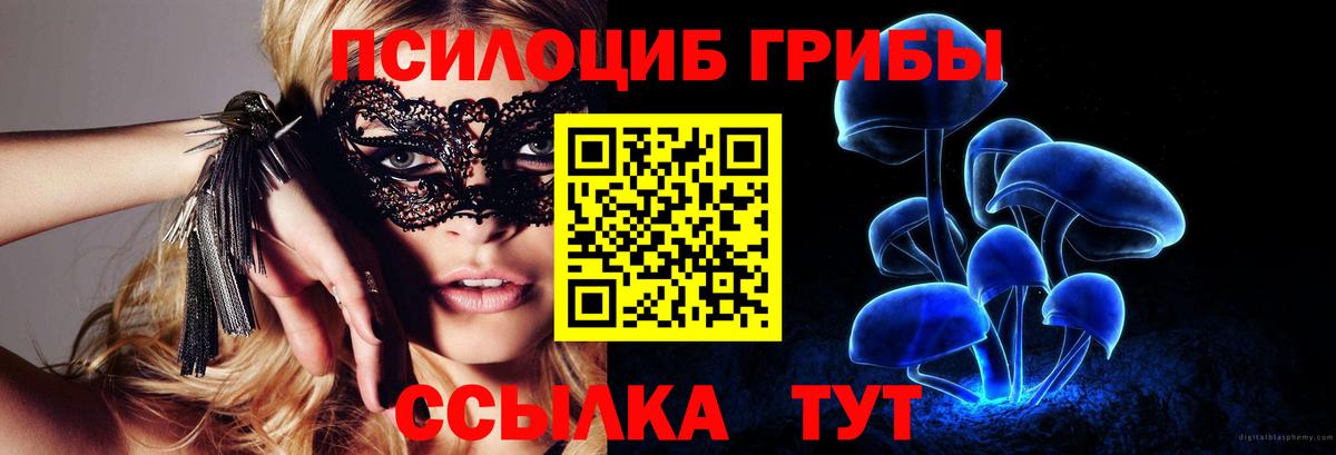 Псилоцибиновые грибы прущие грибы Кудымкар